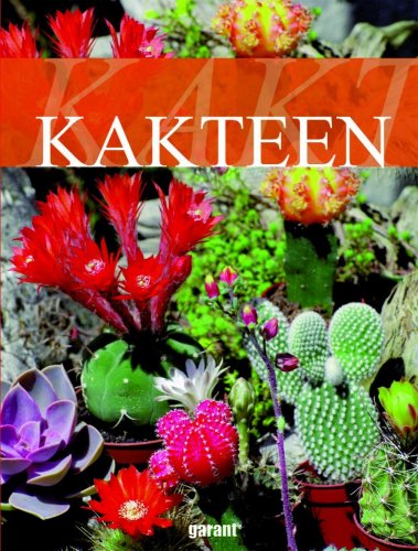 Stock image for Kakteen for sale by WorldofBooks