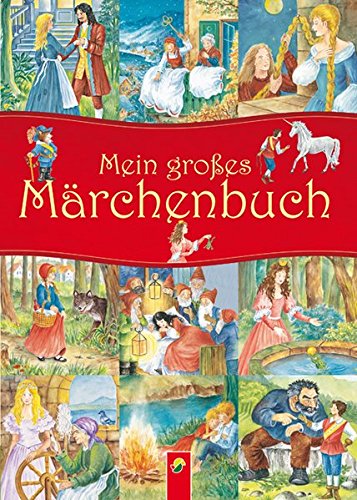 Stock image for Mein groes Mrchenbuch for sale by medimops