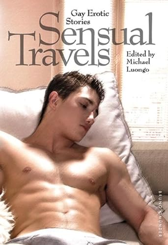 Stock image for Sensual Travels: Gay Erotic Stories for sale by HPB-Emerald