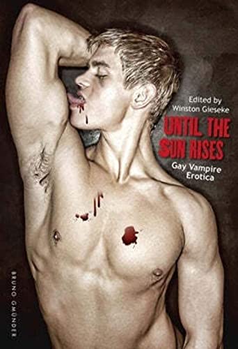 Imagen de archivo de Until the Sun Rises: Gay Vampire Erotica a la venta por Ergodebooks