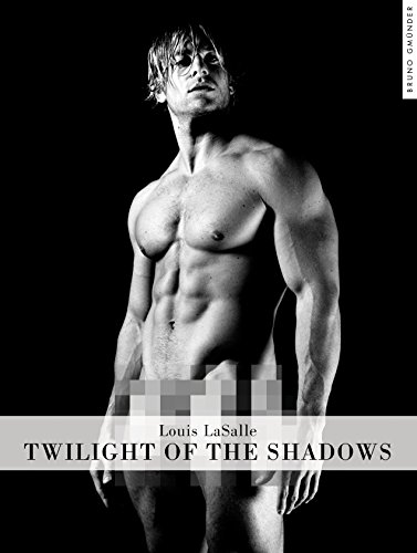 9783867877602: Twilight of the Shadows