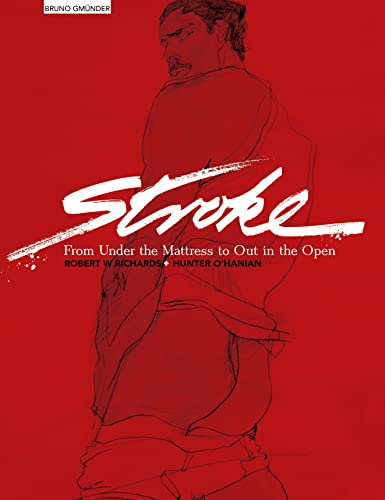 9783867878364: Stroke: From Under the Mattress to Out in the Open