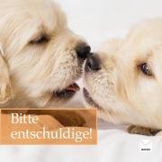 9783868034103: Bitte entschuldige!: Geschenke fr Menschen, die einem am Herzen liegen