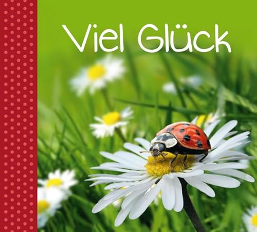 Beispielbild fr Geschenkbuch "Viel Glck" zum Verkauf von medimops