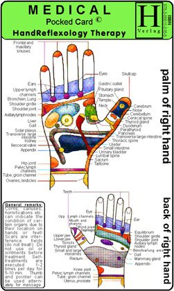 9783868110166: Hand Reflexology Therapy: Medical Pocket Card