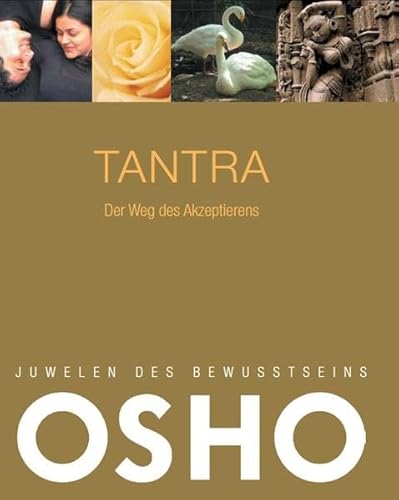 Beispielbild fr Tantra. Juwelen des Bewusstseins zum Verkauf von medimops