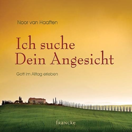 Stock image for Ich suche Dein Angesicht for sale by GreatBookPrices