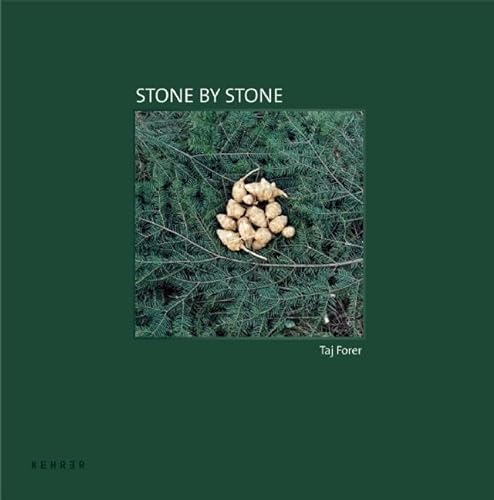 Beispielbild fr Stone by Stone (Signed) zum Verkauf von KULTURAs books