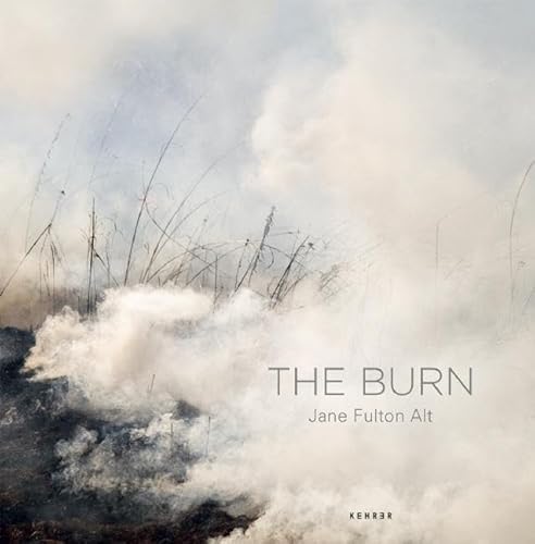 Imagen de archivo de The Burn a la venta por Montclair Book Center