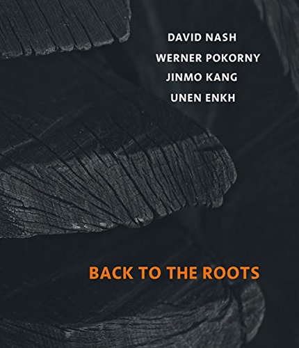 9783868330700: Museum Biedermann - Back to the Roots: David Nash, Werner Pokorny, Jinmo Kang, Unen Enkh