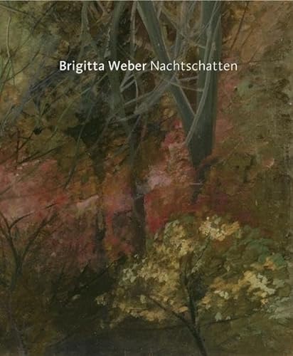 Stock image for Brigitta Weber - Nachtschatten for sale by Antiquariat  >Im Autorenregister<
