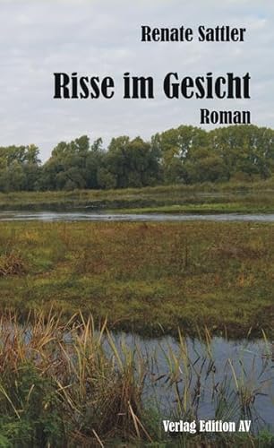 Imagen de archivo de Risse im Gesicht: Roman a la venta por medimops