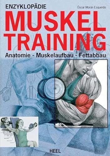 Imagen de archivo de Krafttraining - Das Ultimative Buch: Anatomie - Muskelaufbau - Fettabbau a la venta por Revaluation Books