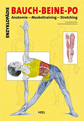 Imagen de archivo de Kompaktkurs Bauch - Beine - Po: Anatomie - Muskeltraining - Stretching a la venta por medimops