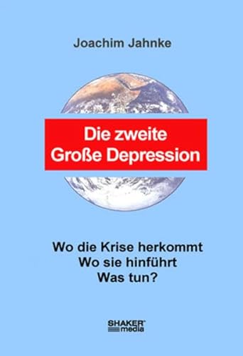 Beispielbild fr Die zweite Groe Depression: Wo die Krise herkommt Wo sie hinfhrt Was tun? zum Verkauf von medimops