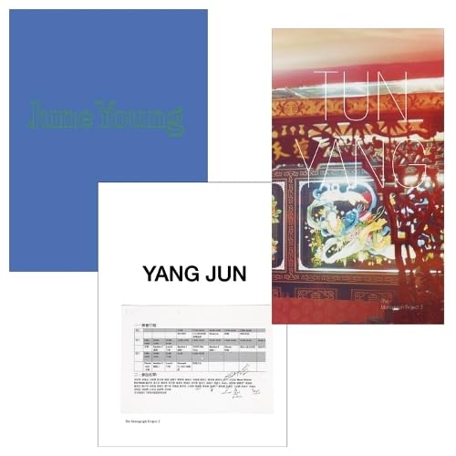 Imagen de archivo de Jun Yang: June Young, Yang Jun, Tun Yang: The Monograph Project a la venta por Academybookshop