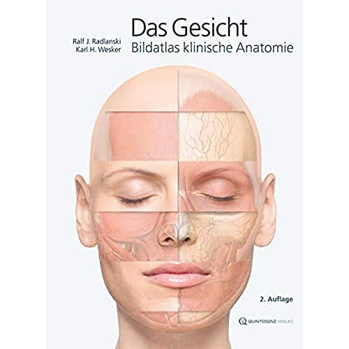 9783868671278: Das Gesicht