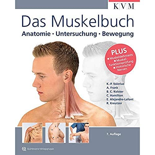 Imagen de archivo de Das Muskelbuch: Anatomie - Untersuchung - Bewegung a la venta por medimops