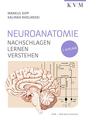 Beispielbild fr Neuroanatomie: Nachschlagen | Lernen | Verstehen zum Verkauf von medimops