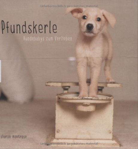 Pfundskerle. Hundebabys zum Verlieben.