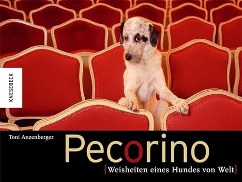Pecorino: Weisheiten eines Hundes von Welt - Toni Anzenberger