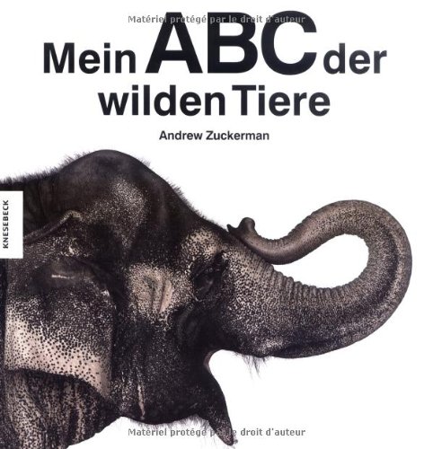 Beispielbild fr Mein ABC der wilden Tiere zum Verkauf von medimops