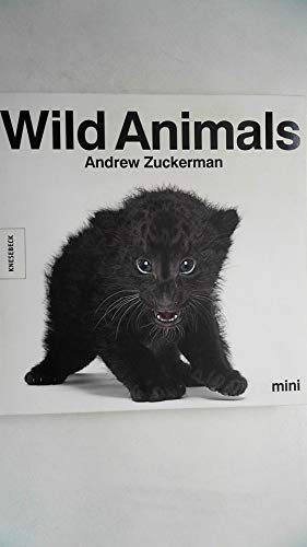 Beispielbild fr Wild Animals mini - Bildband zur Tier - Fotografie zum Verkauf von medimops