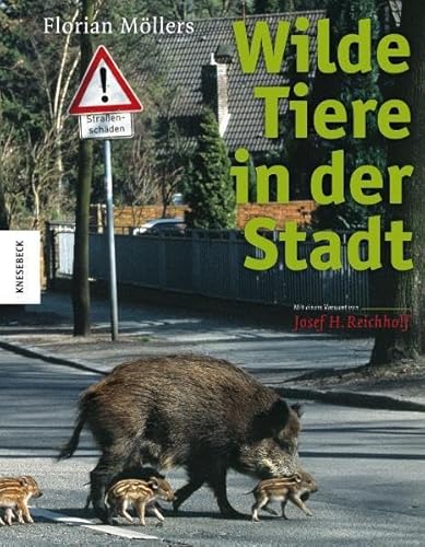 9783868731965: Wilde Tiere in der Stadt. Bildband zur Natur - Fotografie: Inseln der Artenvielfalt