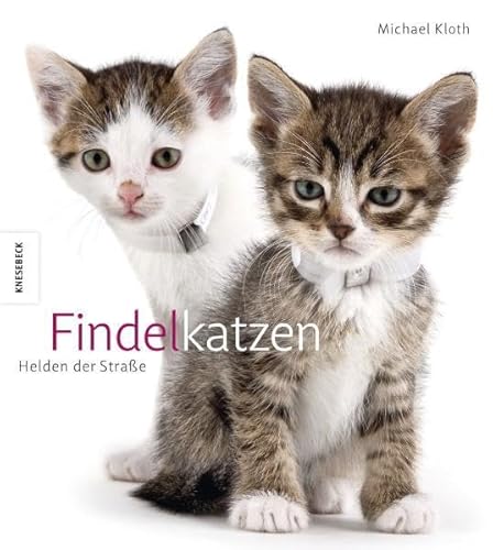 Beispielbild fr Findelkatzen: Helden der Strae. Ein Katzen - Buch zum Verkauf von medimops