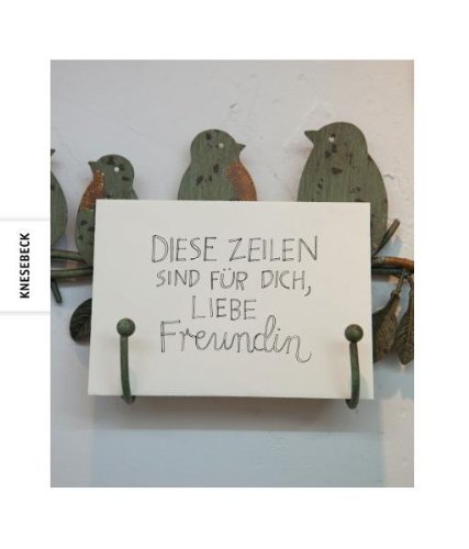 9783868733372: Diese Zeilen sind fr Dich, liebe Freundin. Geschenkbuch mit handgeschriebenen Botschaften