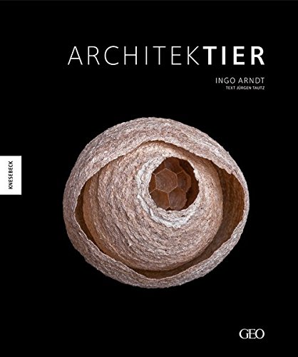 Stock image for Architektier: Baumeister der Natur for sale by medimops