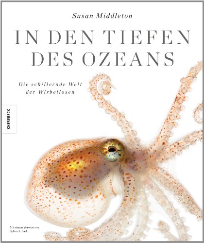 9783868737448: In den Tiefen des Ozeans: Die schillernde Welt der Wirbellosen