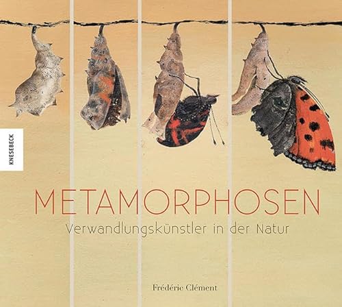 Metamorphosen: Verwandlungskünstler der Natur - Frédéric Clément