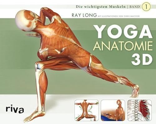 9783868830927: Yoga-Anatomie 3D: Band 1: Die wichtigsten Muskeln