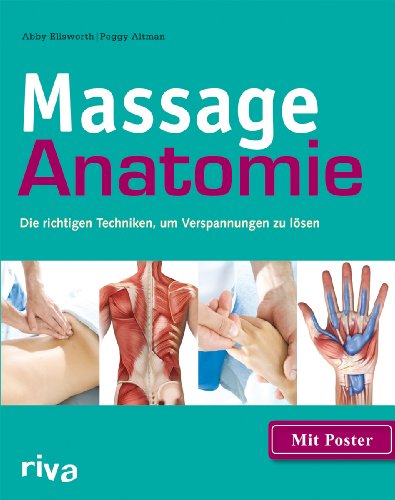 9783868831023: Massage-Anatomie