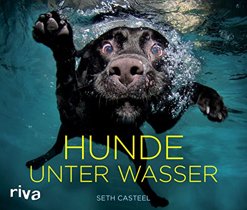 Beispielbild fr Casteel, S: Hunde unter Wasser zum Verkauf von Ammareal