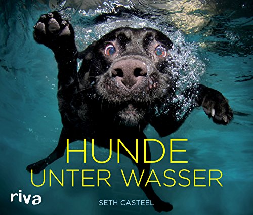 Stock image for Casteel, S: Hunde unter Wasser for sale by Ammareal