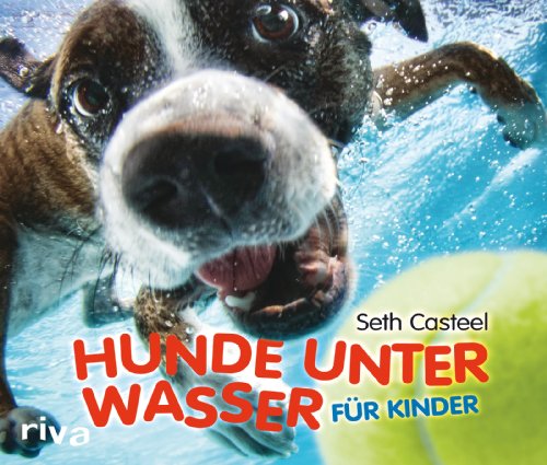 Stock image for Hunde unter Wasser fr Kinder for sale by medimops