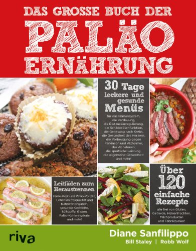 Stock image for Das groe Buch der Palo-Ernhrung for sale by medimops