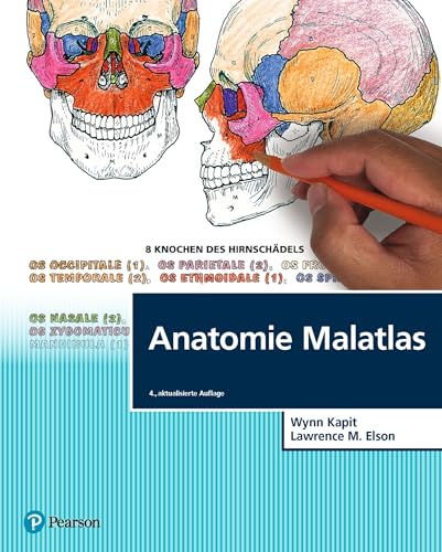 Beispielbild fr Anatomie Malatlas (Pearson Studium - Medizin) zum Verkauf von medimops