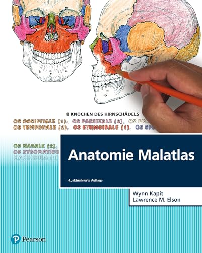 Stock image for Anatomie Malatlas for sale by Jasmin Berger