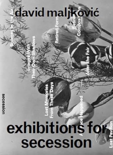 Beispielbild fr David Maljkovic: Exhibitions for Secession zum Verkauf von Design Books