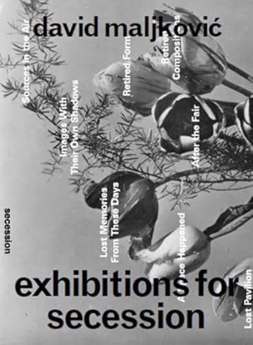 Stock image for David Maljkovic: Exhibitions for Secession for sale by Design Books