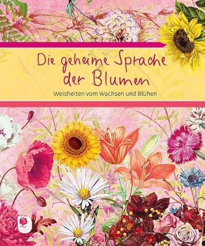 Stock image for Die geheime Sprache der Blumen: Weisheiten vom Wachsen und Blhen (Eschbacher Geschenkbuch) for sale by medimops