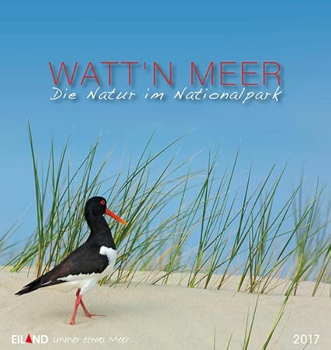 9783869264400: Watt'n Meer... Die Natur im Nationalpark 2017 Postkarten-Kalender: 13 Wetterkarten