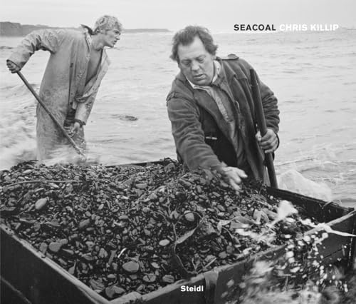 Stock image for Seacoal for sale by Blackwell's