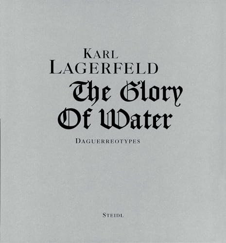 Imagen de archivo de The Glory of Water: Daguerreotypes a la venta por Idaho Youth Ranch Books
