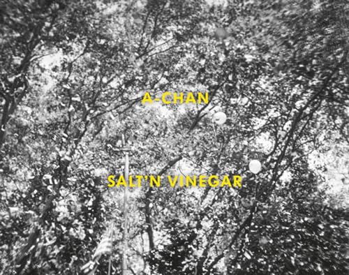 Imagen de archivo de A-chan: Salt'n Vinegar a la venta por AFTER WORDS OF ANN ARBOR