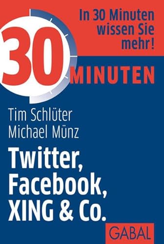 9783869363745: Schlter, T: 30 Minuten Twitter, Facebook, XING & Co