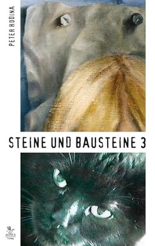 9783869380032: Steine und Bausteine. Bd.3